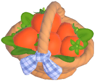 토마토
